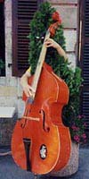 contrebasse Dominic Molton
